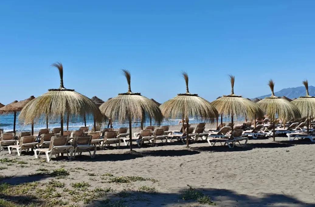 Palm trees before a brown sand beach with children's play area at playa el palo.