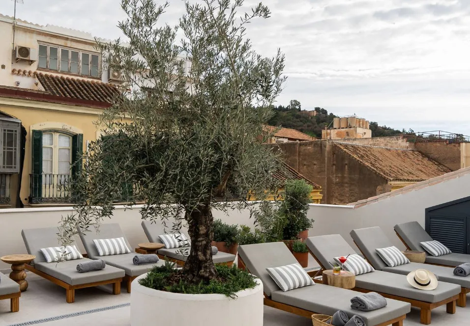 Well and Come Hotel Malaga wellness-focused hotel with bright airy rooms and natural interiors