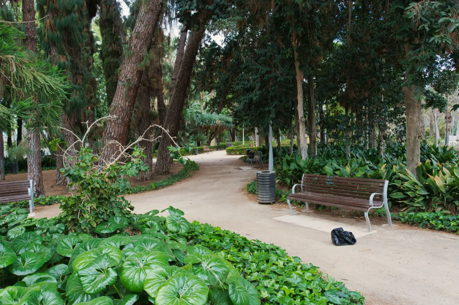 Shaded walking path through Malaga Park with lush tropical plants and benches