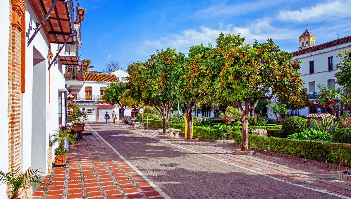 Orange trees shading the terrace restaurants at Plaza de los Naranjos in Marbella Old Town