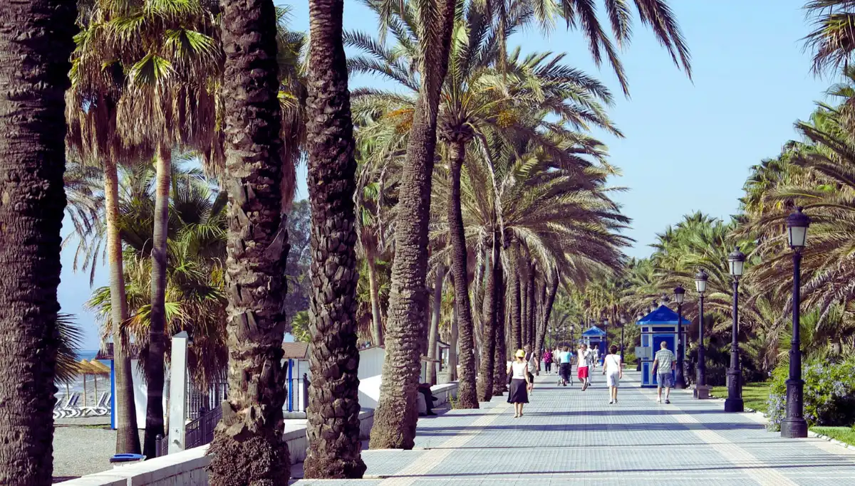 Beachfront promenade stretching toward San Pedro de Alcantara from Marbella