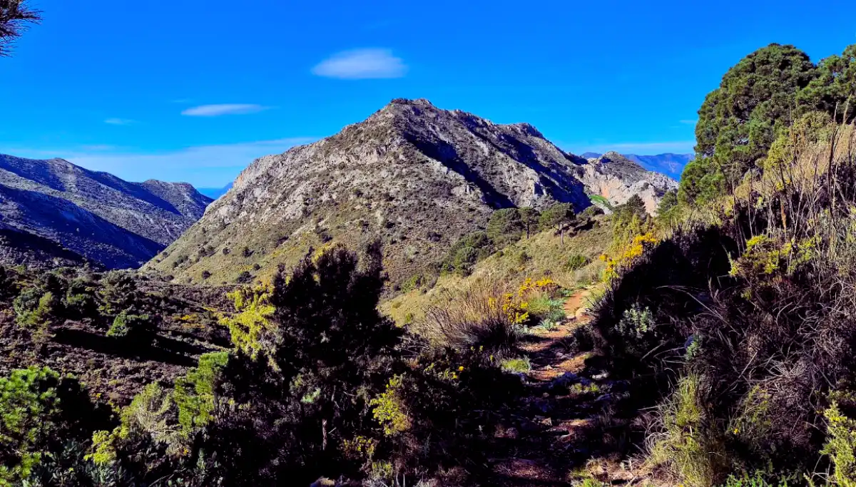 Sierra Blanca mountains rising behind Marbella