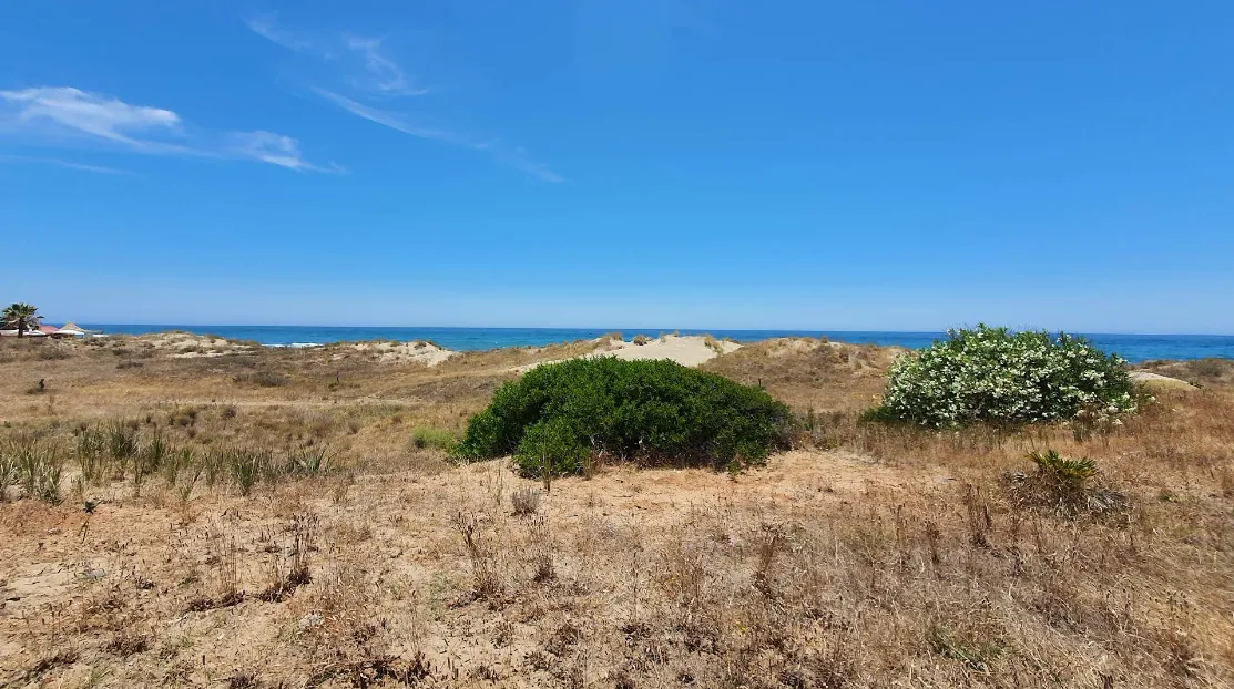 Playa del Real de Zaragoza in Marbella