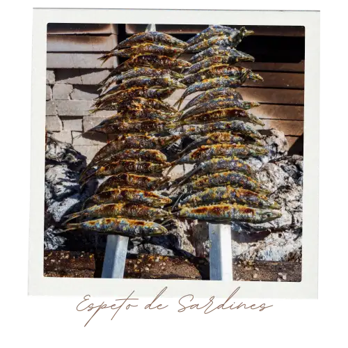 Traditional espetos and paella in Estepona