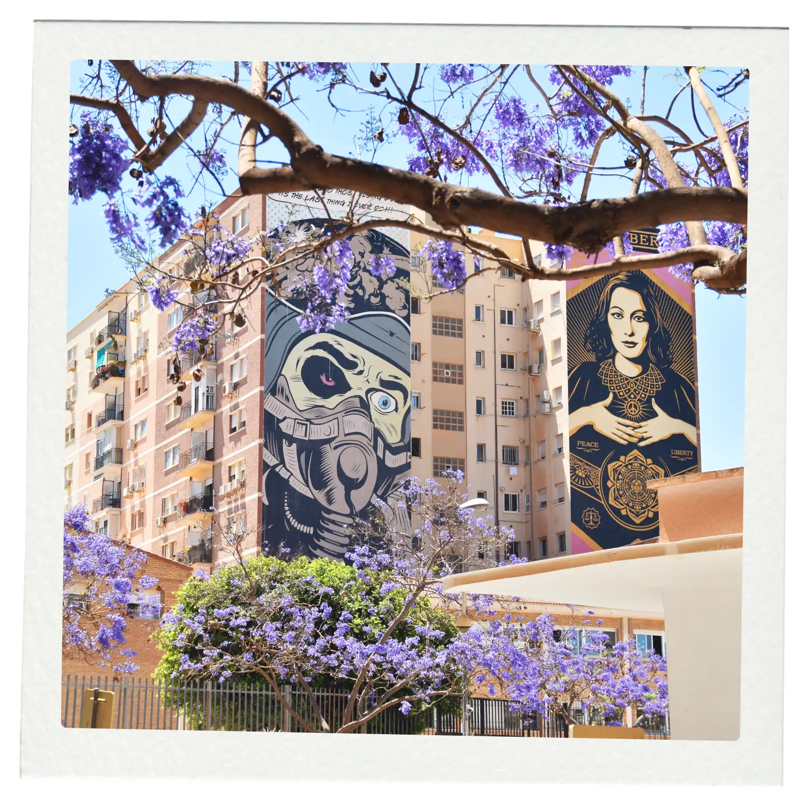 Street art and unique experiences in Malaga