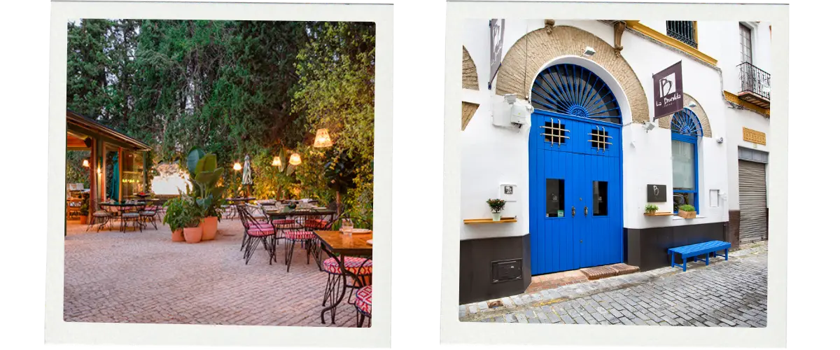 Seville in a day spainonfoot 28