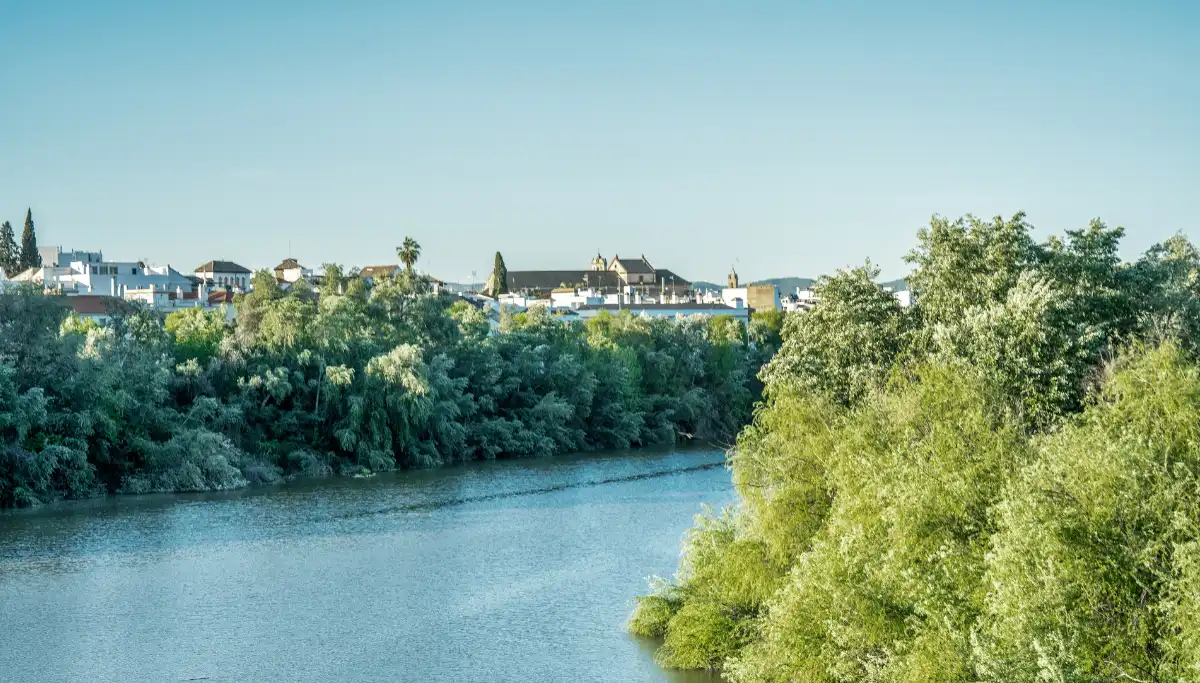 The Mezquita mosque-cathedral in Córdoba