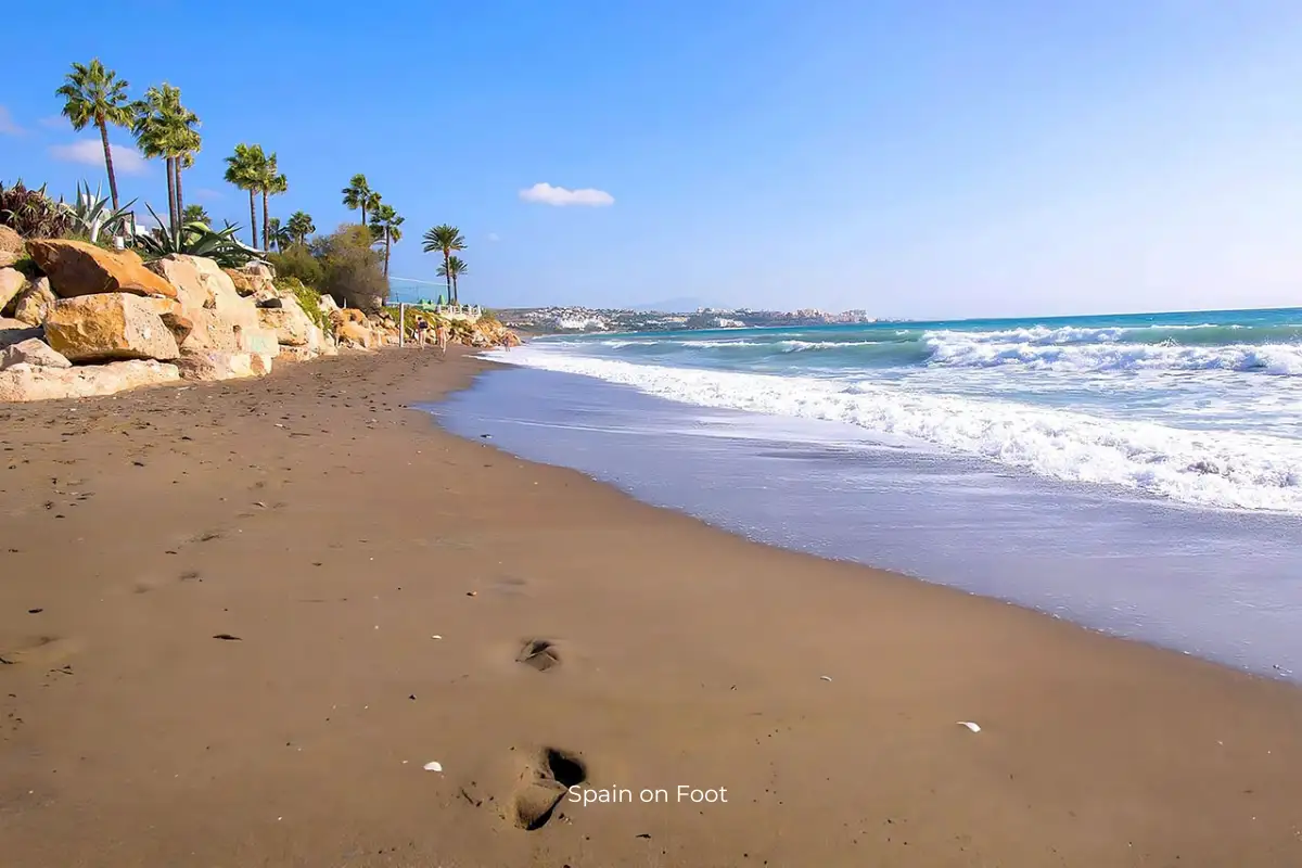 crashing ocean waves on a brown coastline lined with palm trees on Playa Costa Natura.