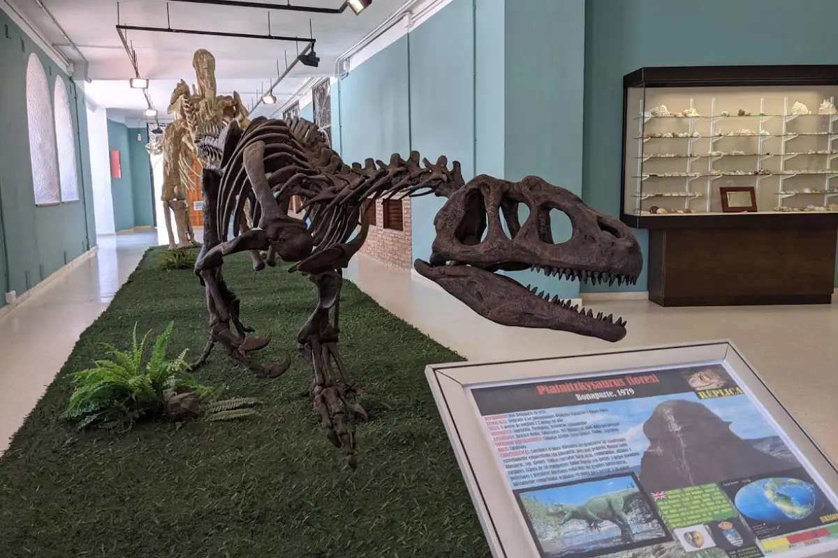 Full-height T-rex skeleton in the hallway of Museo Arqueológico de Estepona