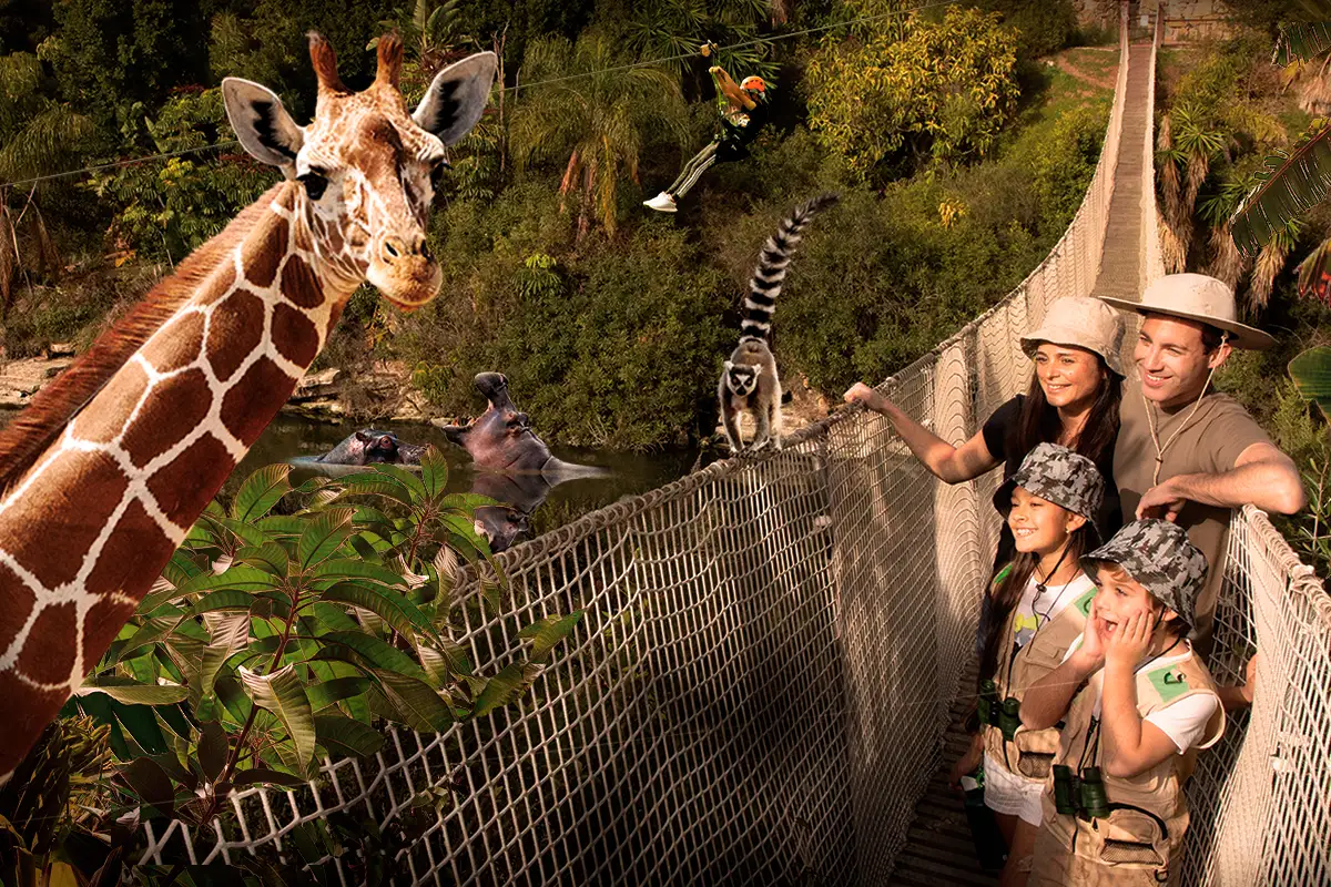 Family on a hanging bridge at Selwo Aventura park watching a giraffe in Estepona