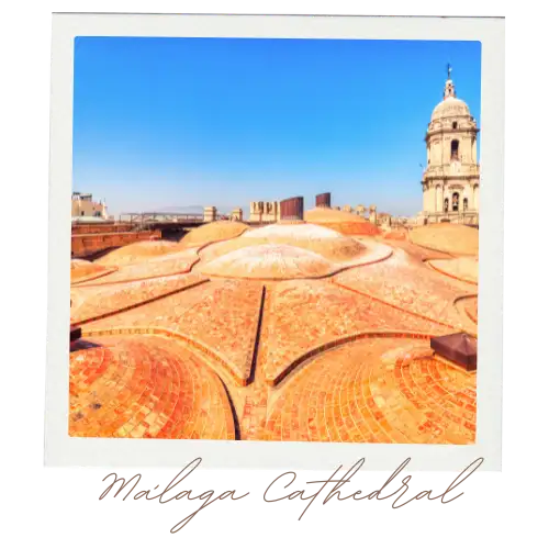 malaga cathedral polaroid 16