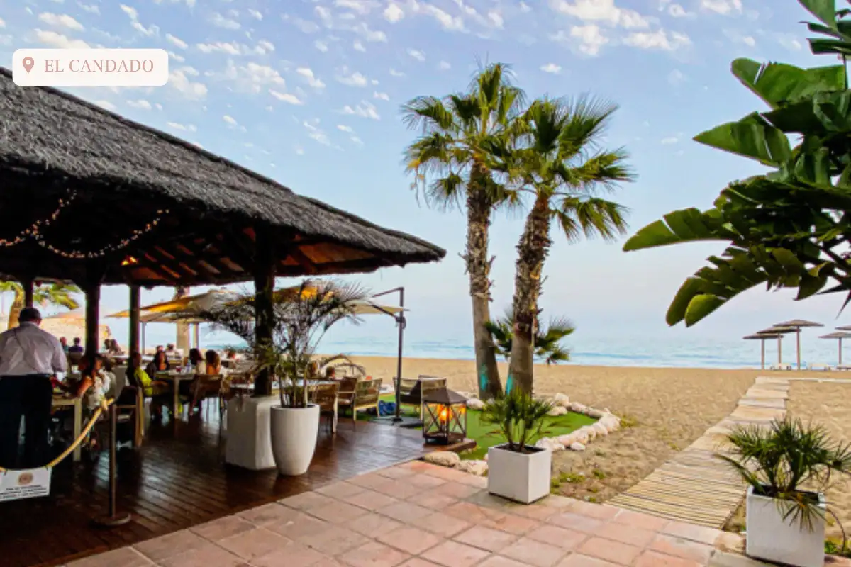 A chiringuito on Playa El Candado with palm trees and the ocean in the background.