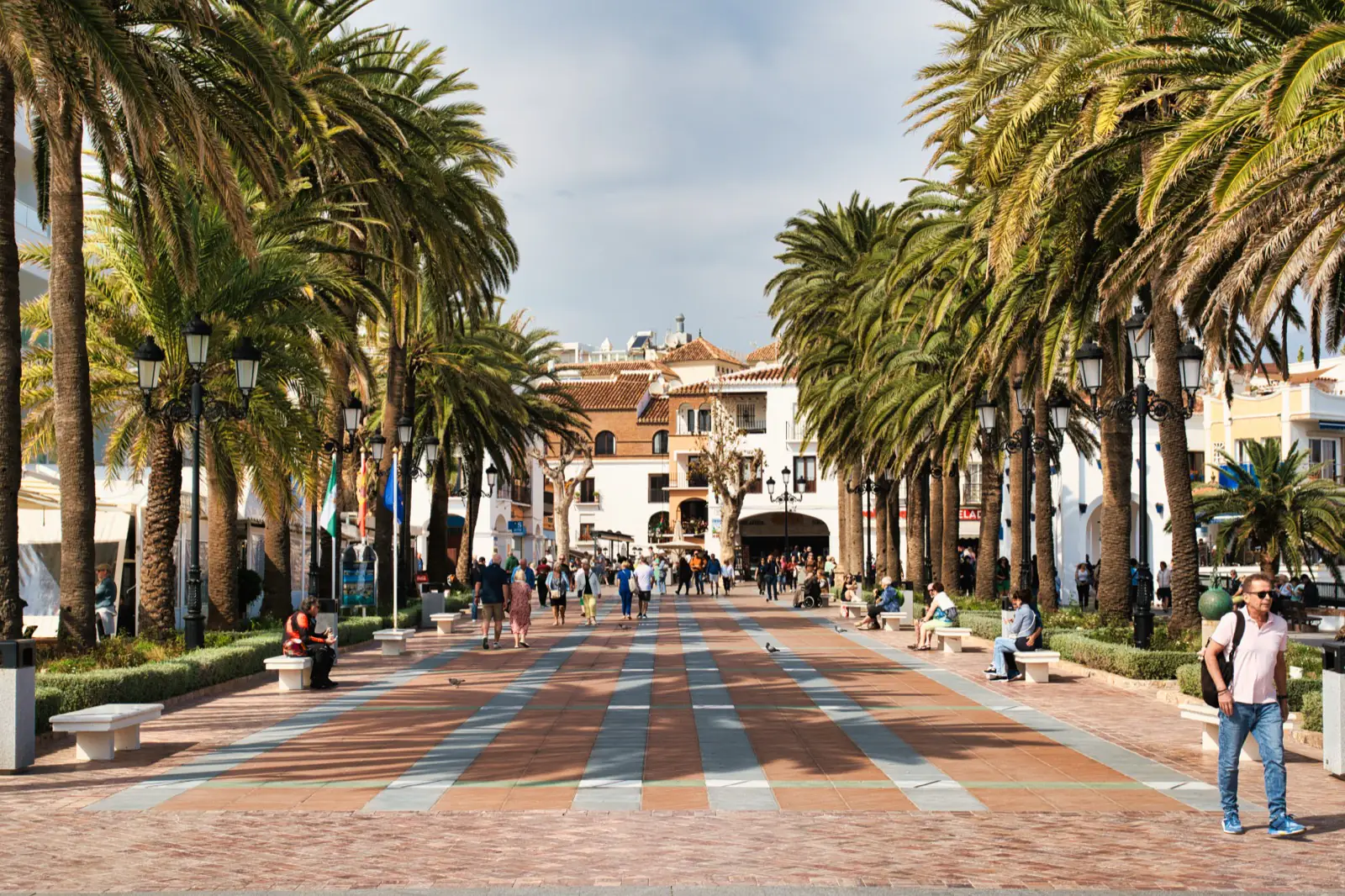 large palm trees along the nerja balcon de europa
