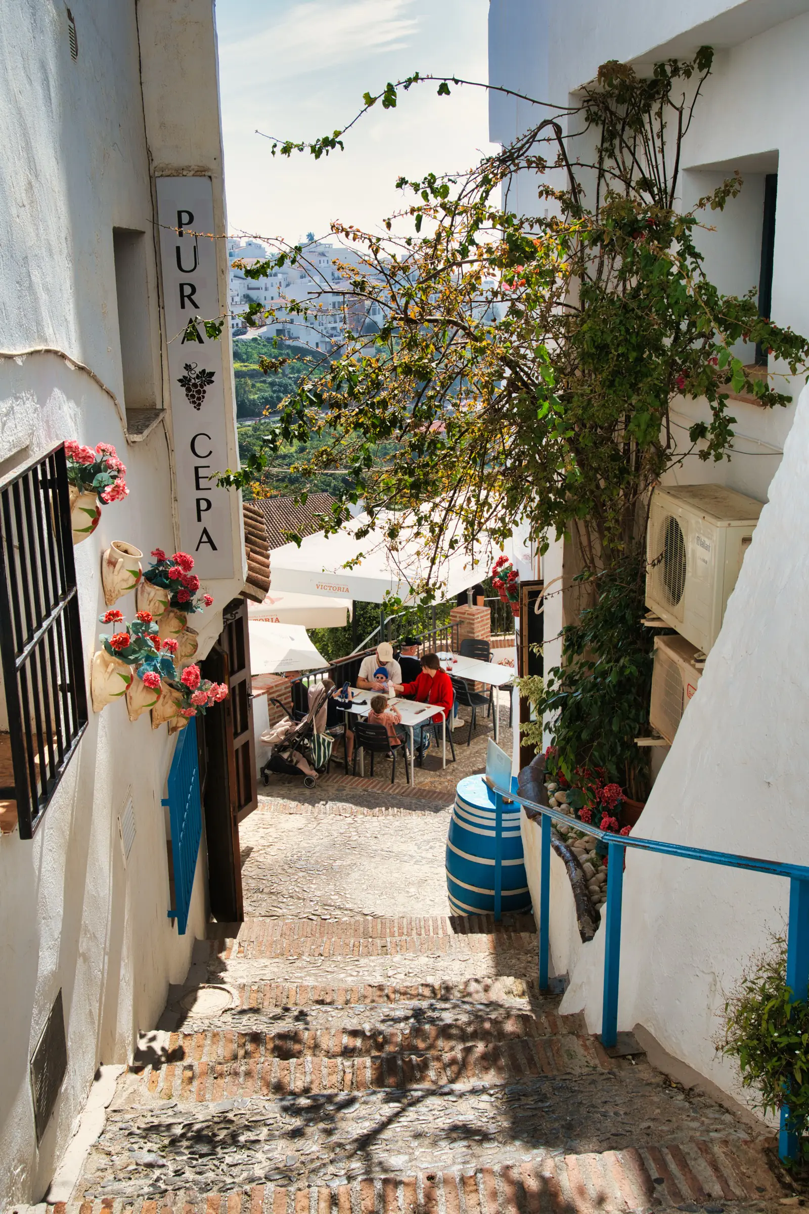 Shop-lined street in Frigiliana