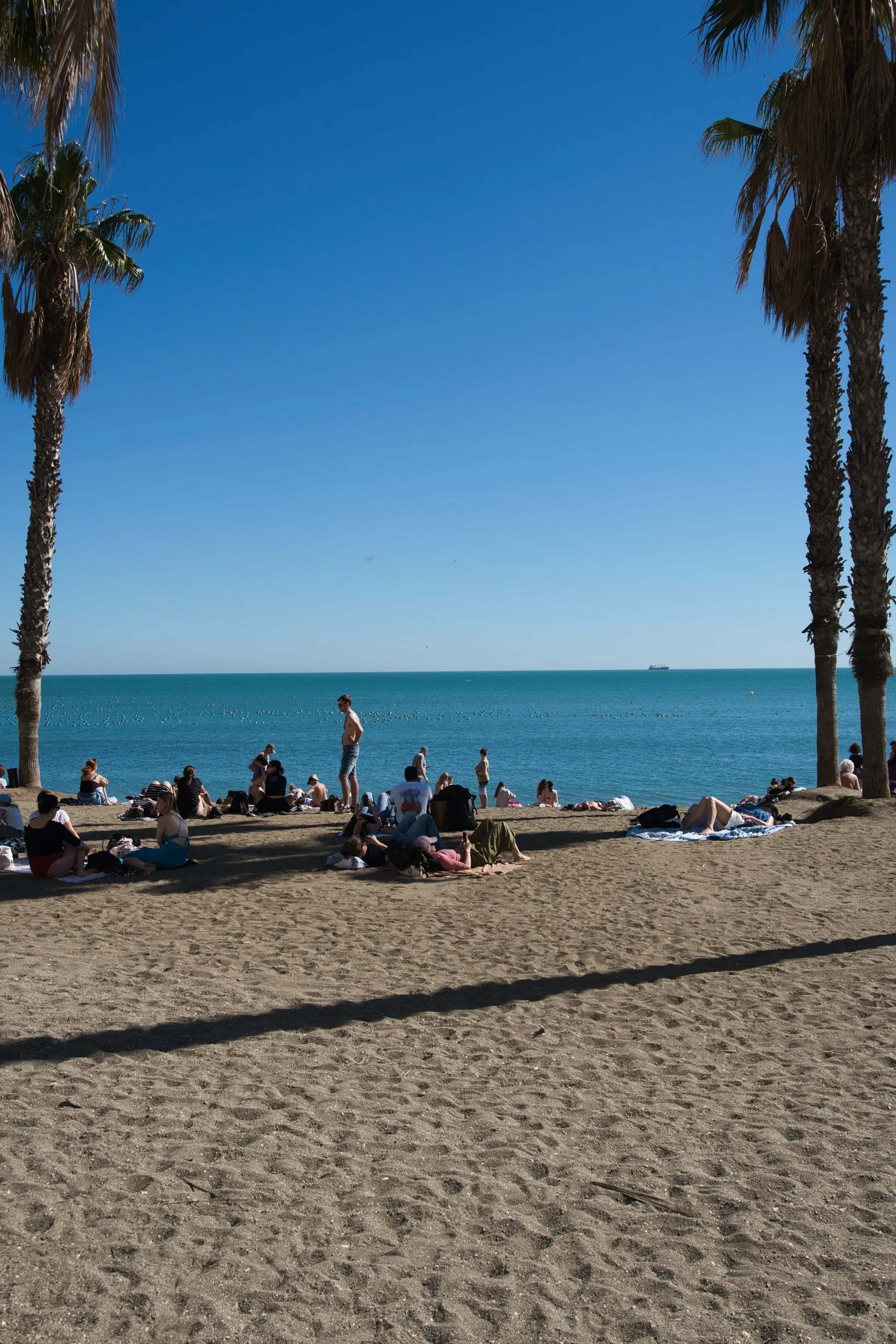 Malagueta beach framed by palm trees