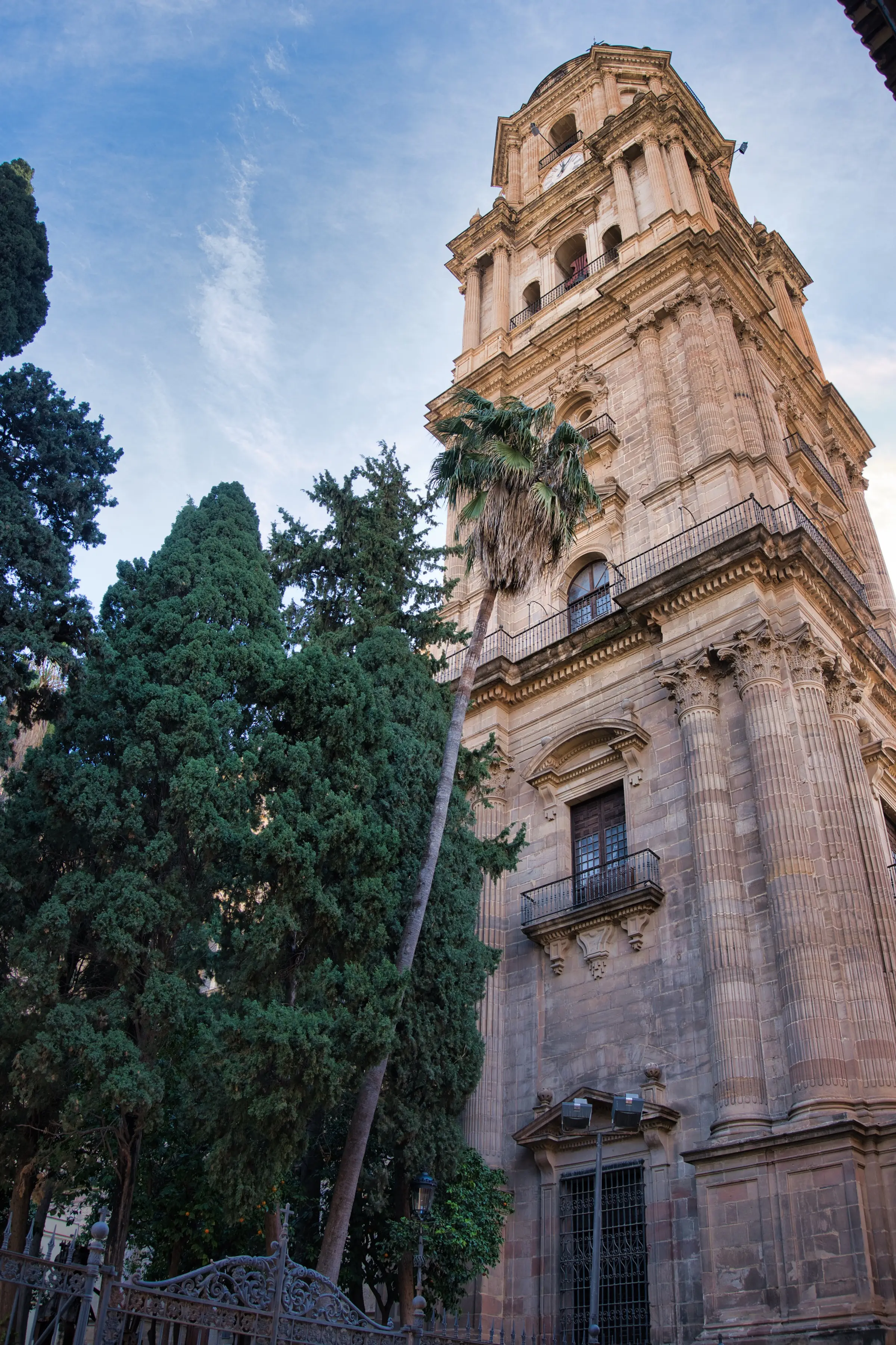 Malaga Cathedral spire in spring light