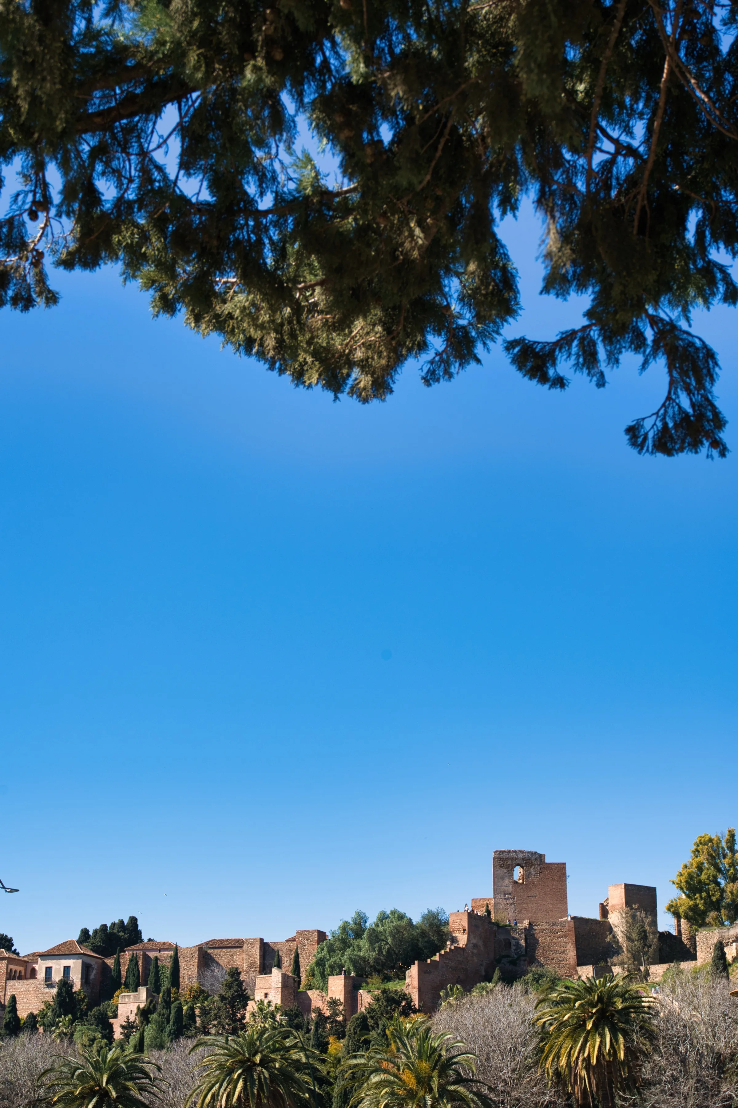 The Alhambra on the bottom with trees on the top and sky in the middle.
