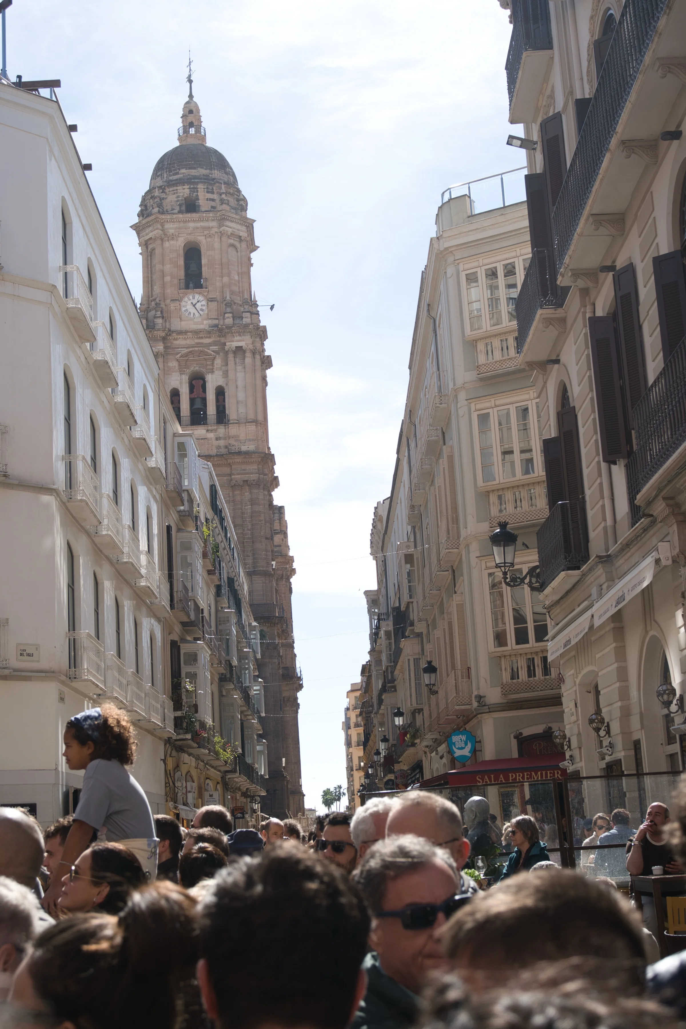 Malaga Cathedral side view
