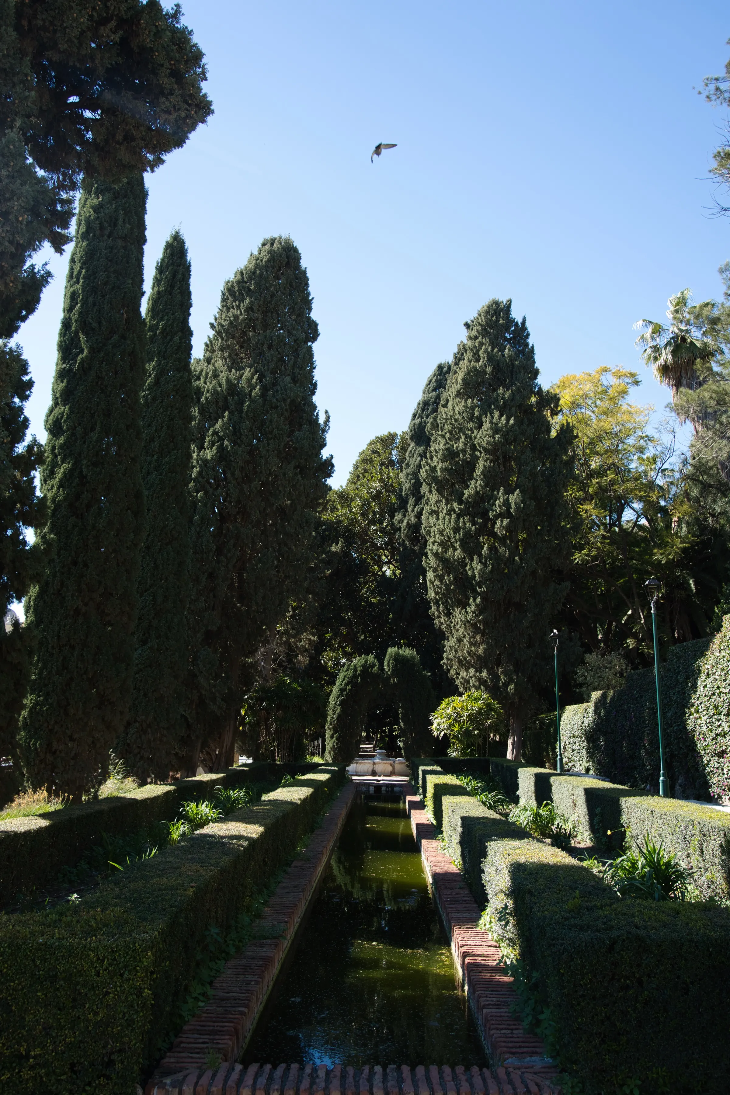 Malaga gardens in spring bloom
