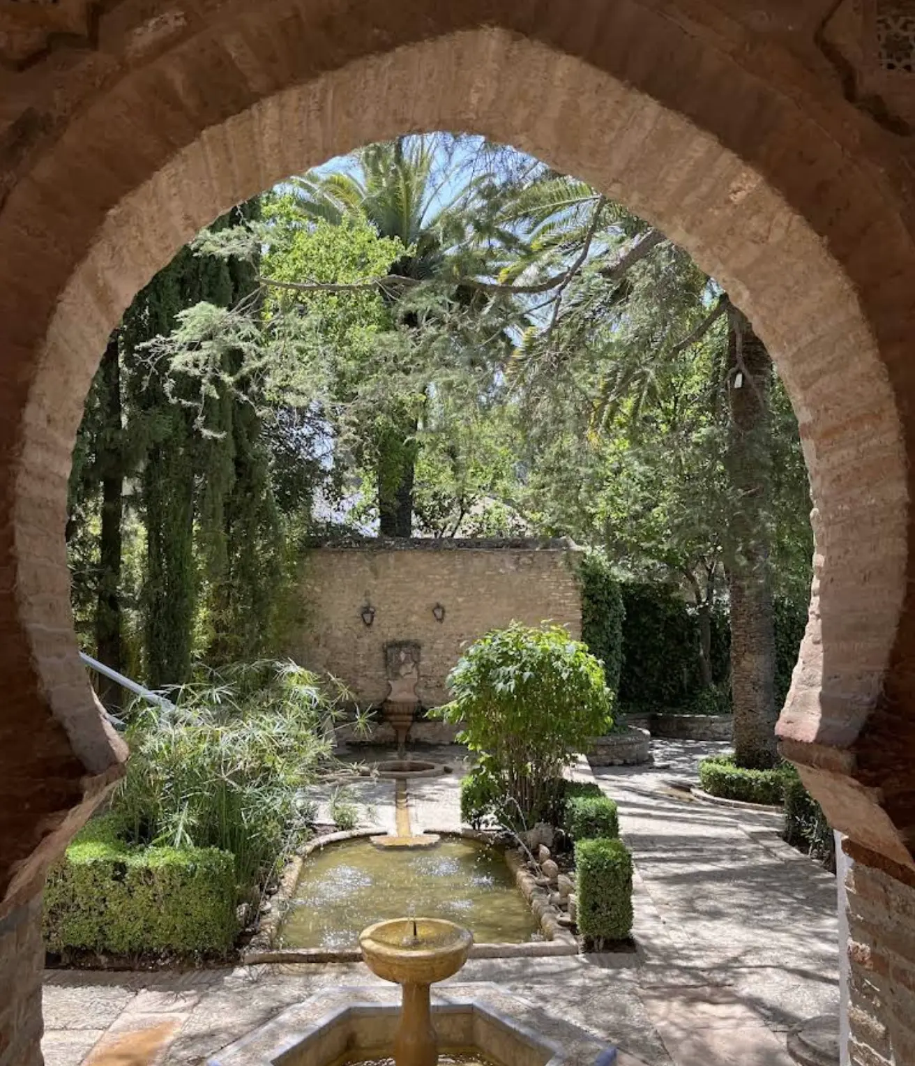 Orange tree in a Ronda courtyard.