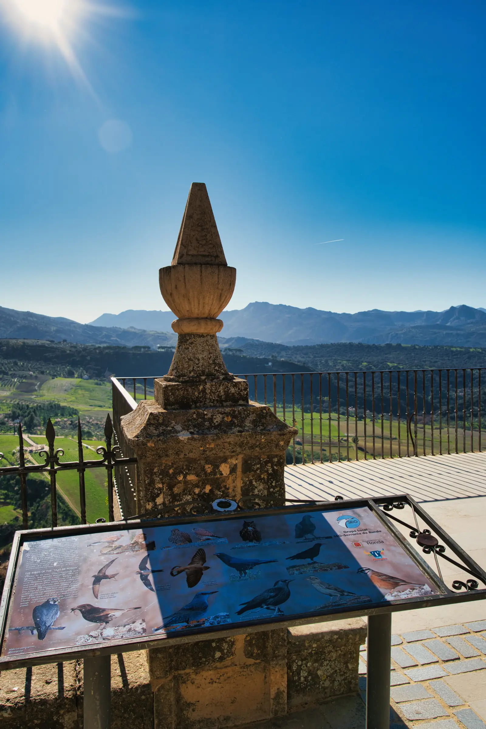 Birds circling over Ronda's countryside.